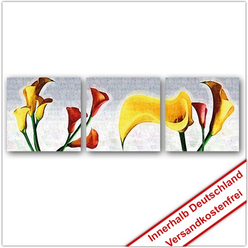 Leinwanddruck - Motive: Blüten 3 Teiler