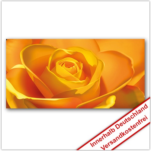 Leinwanddruck - Motive: Gelbe Rose
