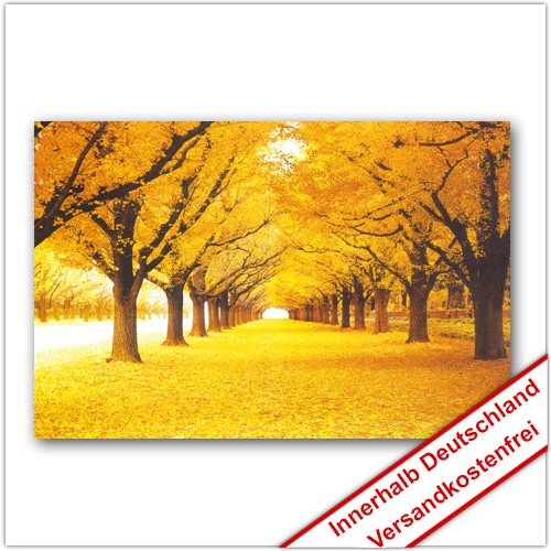 Leinwanddruck - Motive: Herbstweg
