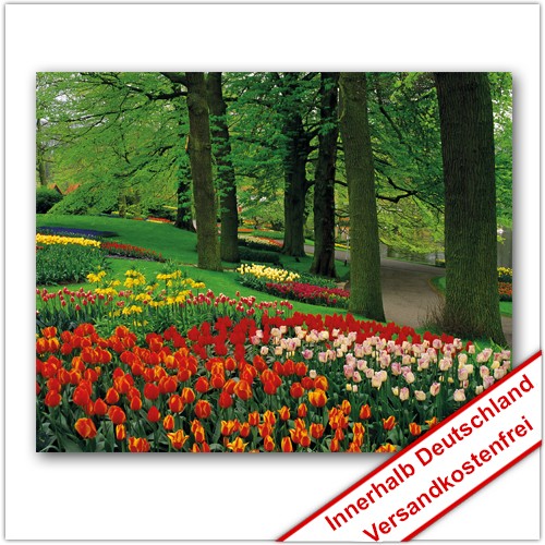 Leinwanddruck - Motive: Parkweg