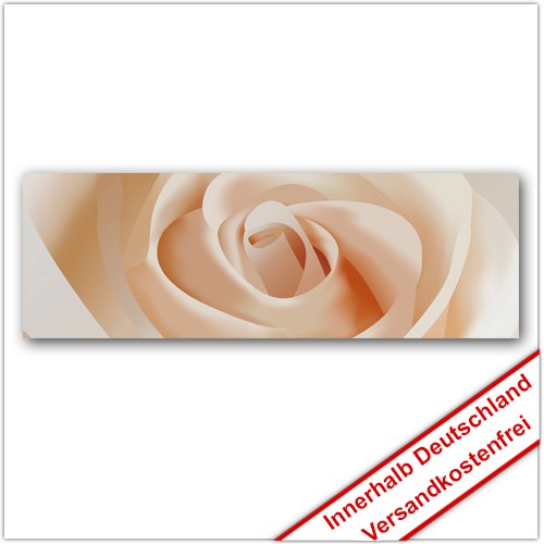 Leinwanddruck - Motive: Pastell Rose