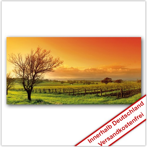 Leinwanddruck - Motive: Sonnenuntergang Feld