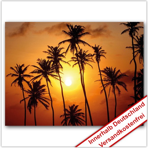 Leinwanddruck Motiv - Sonnenuntergang Palmen 002