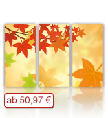 Leinwanddruck Motiv - Herbst Laub - 3 Teiler